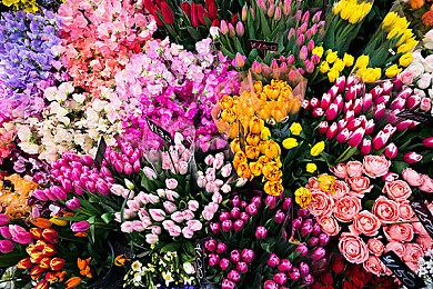 Epic喜加二：《极速大乱斗》和《塔尔西斯》免费领